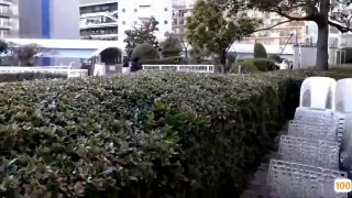 野花香视频免费观看高清在线代发：埋头苦干